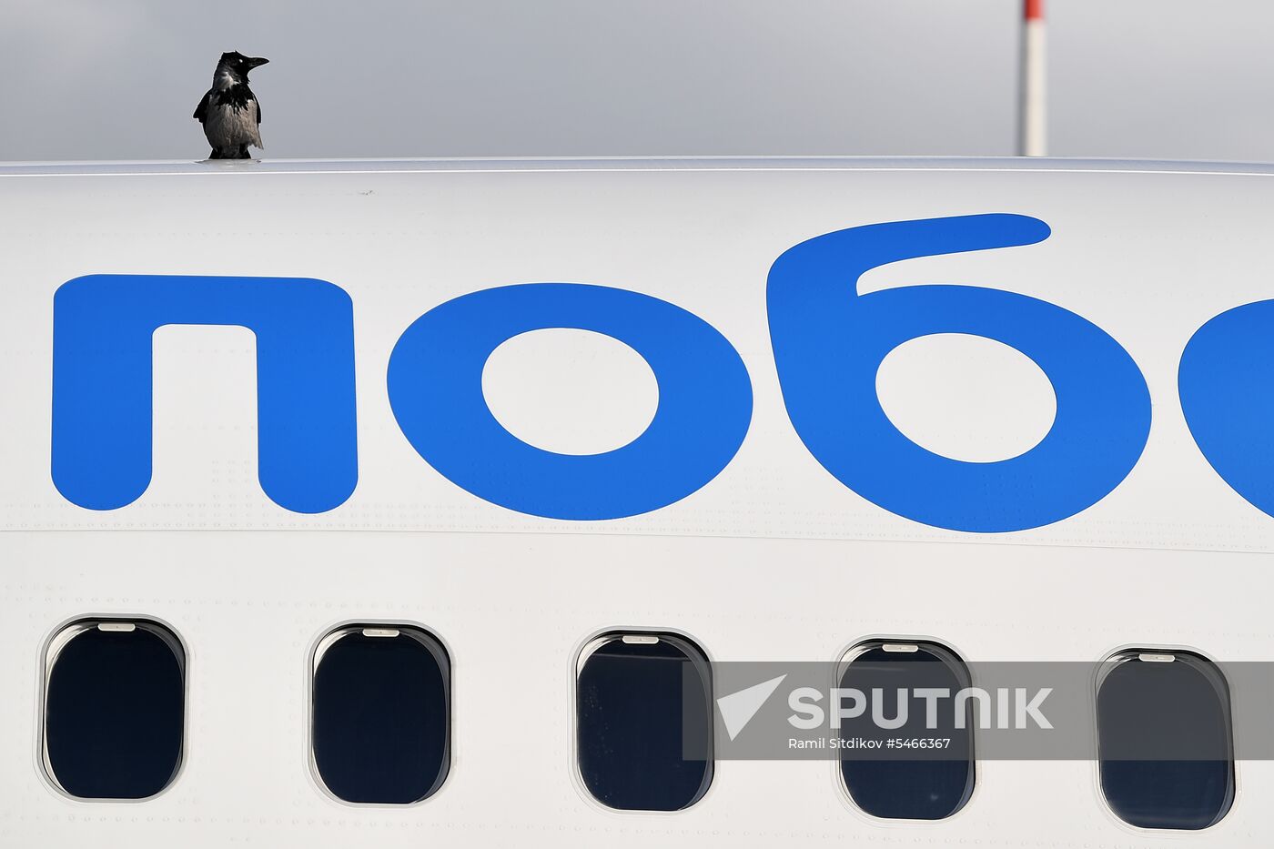 Maintenance of Pobeda aircraft at Vnukovo airport