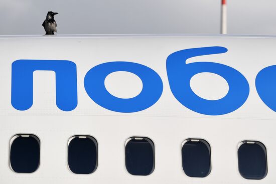 Maintenance of Pobeda aircraft at Vnukovo airport