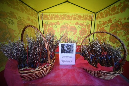 Willow sold in Russian cities