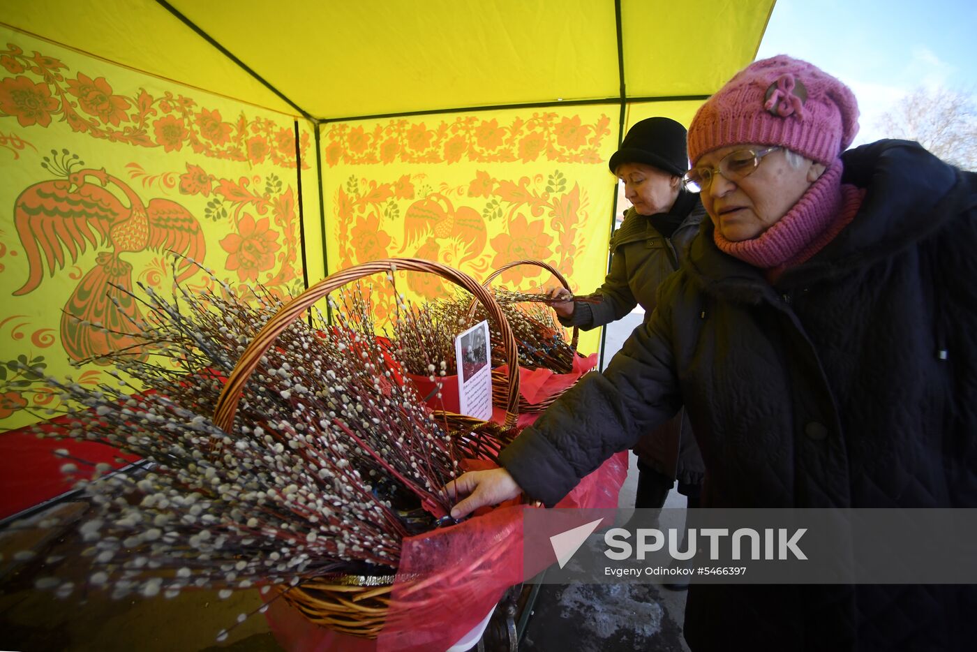 Willow sold in Russian cities