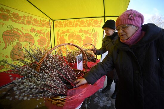 Willow sold in Russian cities