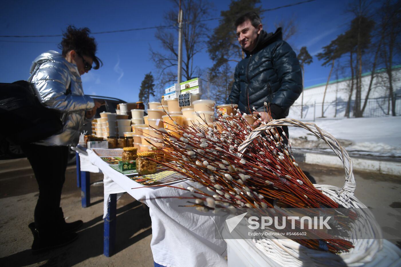 Willow sold in Russian cities