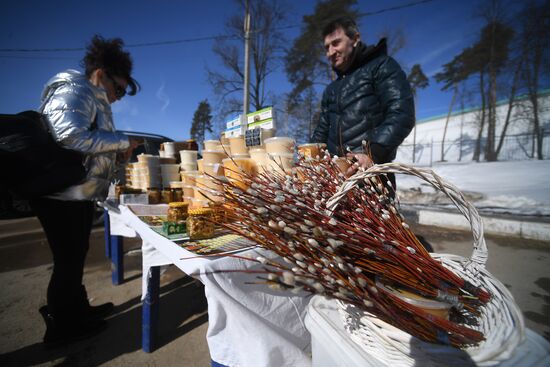 Willow sold in Russian cities