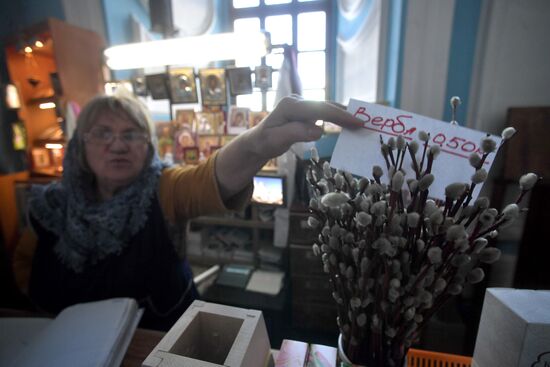 Willow sold in Russian cities