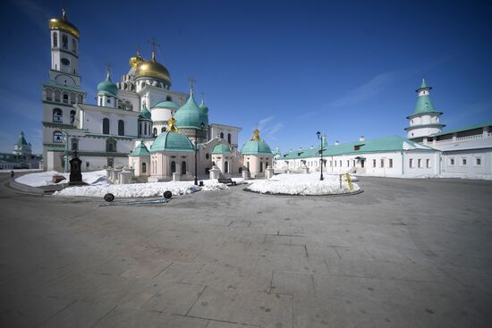 Willow sold in Russian cities