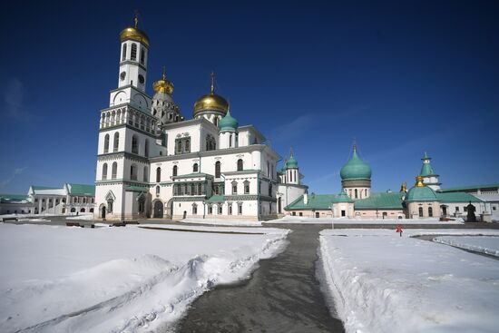 Willow sold in Russian cities