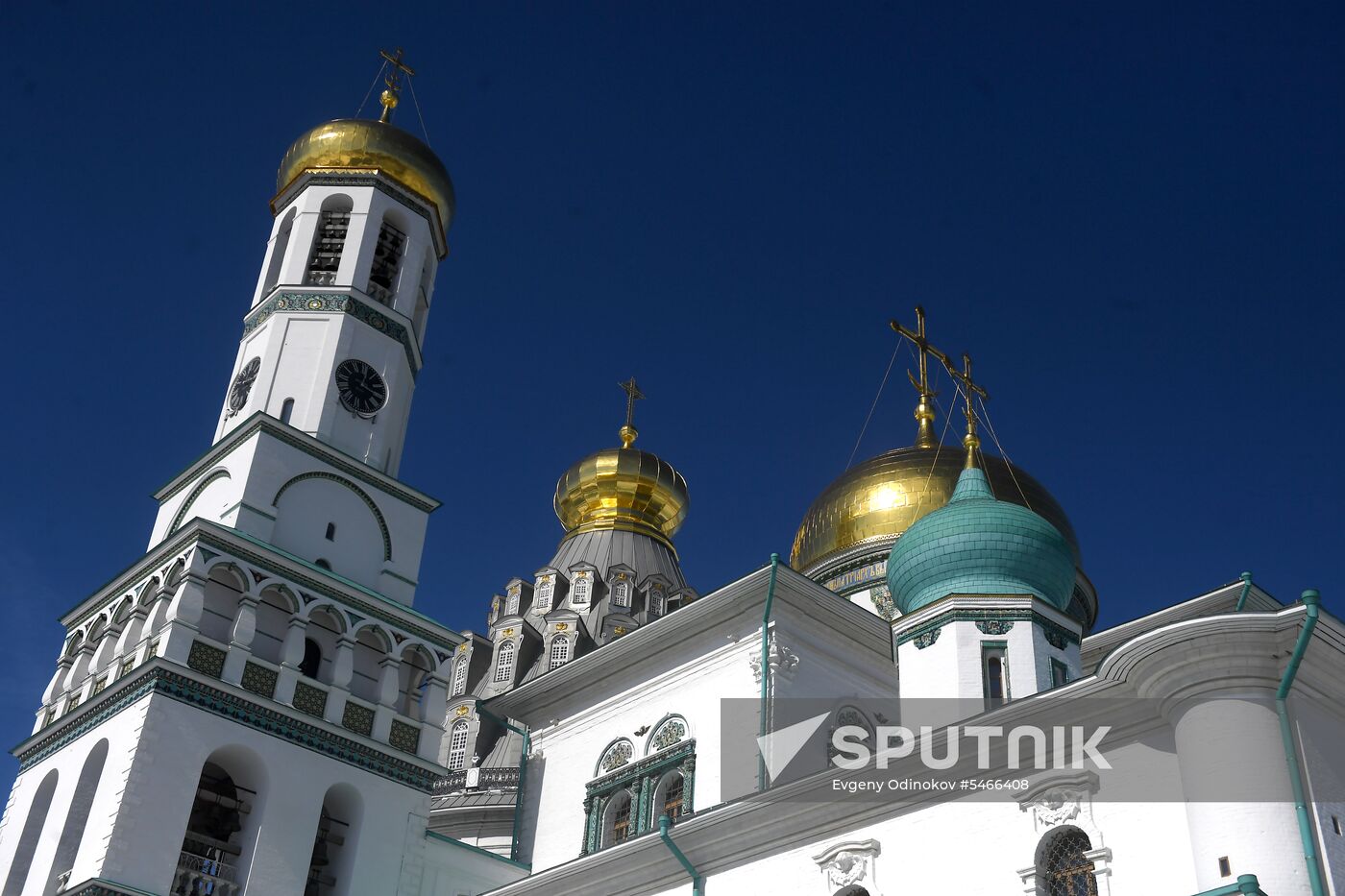 Willow sold in Russian cities