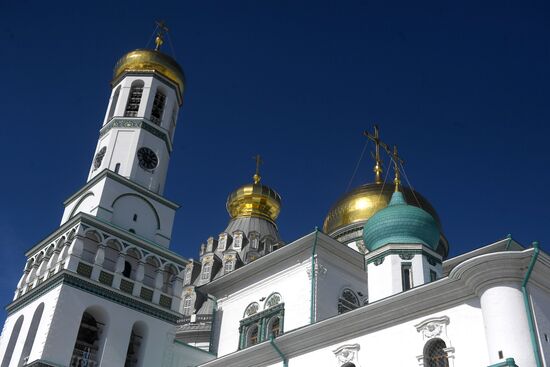 Willow sold in Russian cities