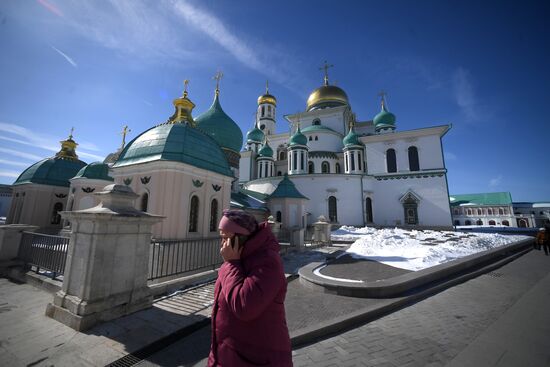 Willow sold in Russian cities