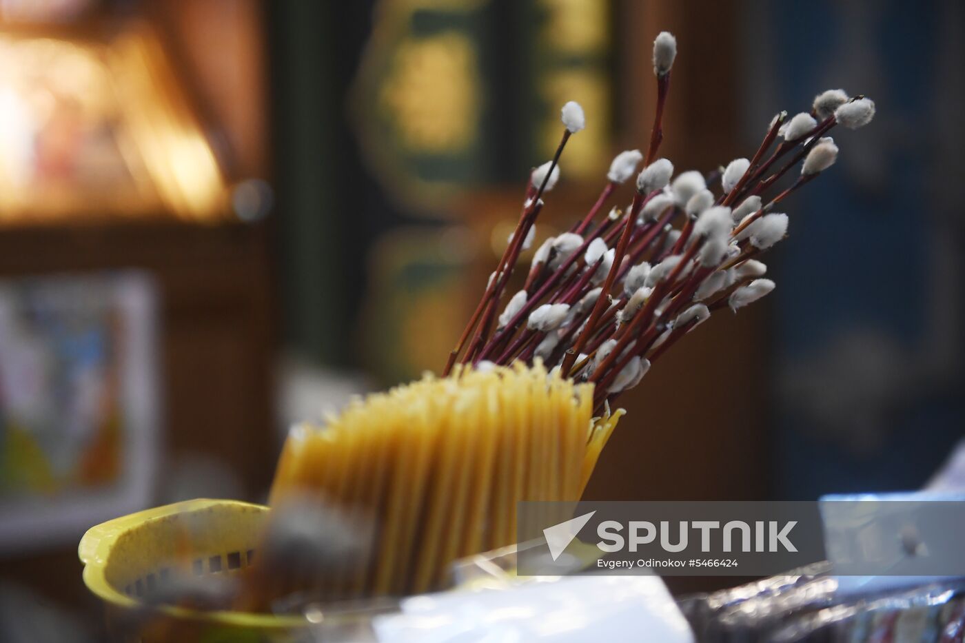 Willow sold in Russian cities