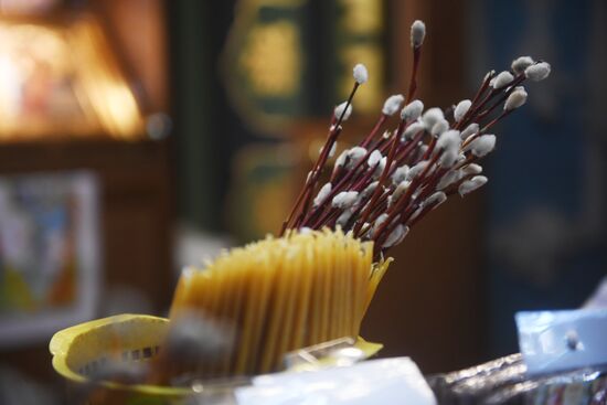Willow sold in Russian cities
