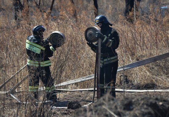 Wildfire suppression exercise in Primorye Territory