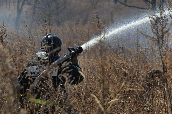 Wildfire suppression exercise in Primorye Territory