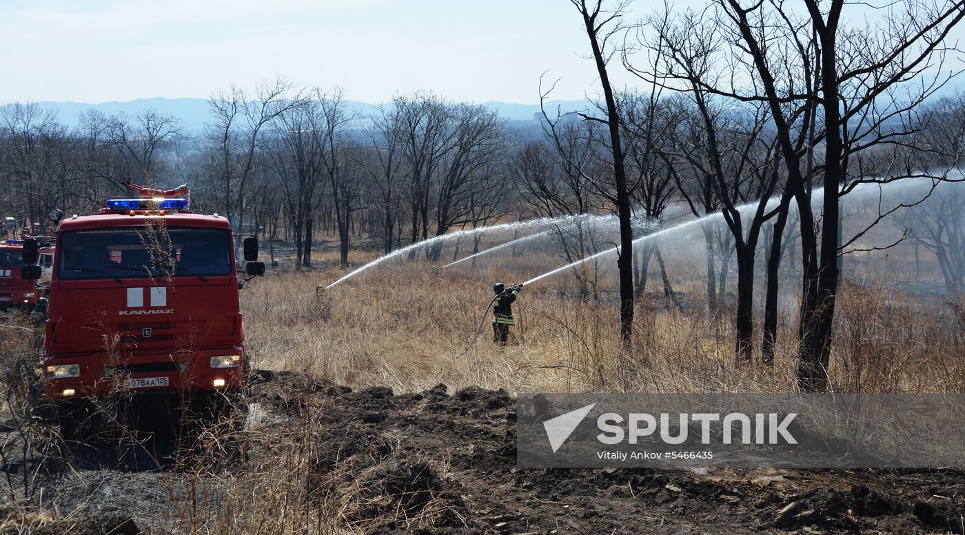 Wildfire suppression exercise in Primorye Territory