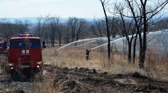 Wildfire suppression exercise in Primorye Territory