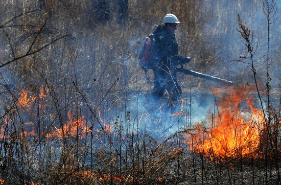Wildfire suppression exercise in Primorye Territory