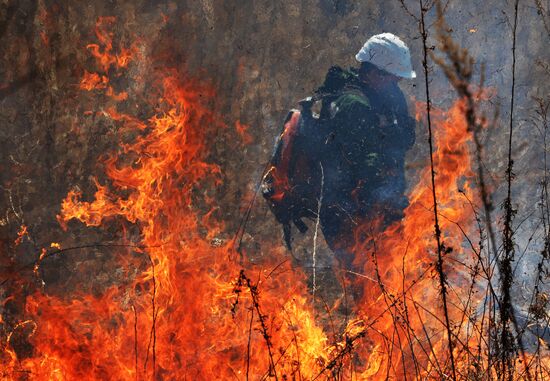 Wildfire suppression exercise in Primorye Territory