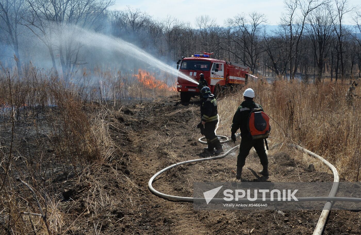 Wildfire suppression exercise in Primorye Territory