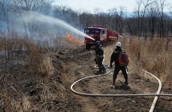 Wildfire suppression exercise in Primorye Territory