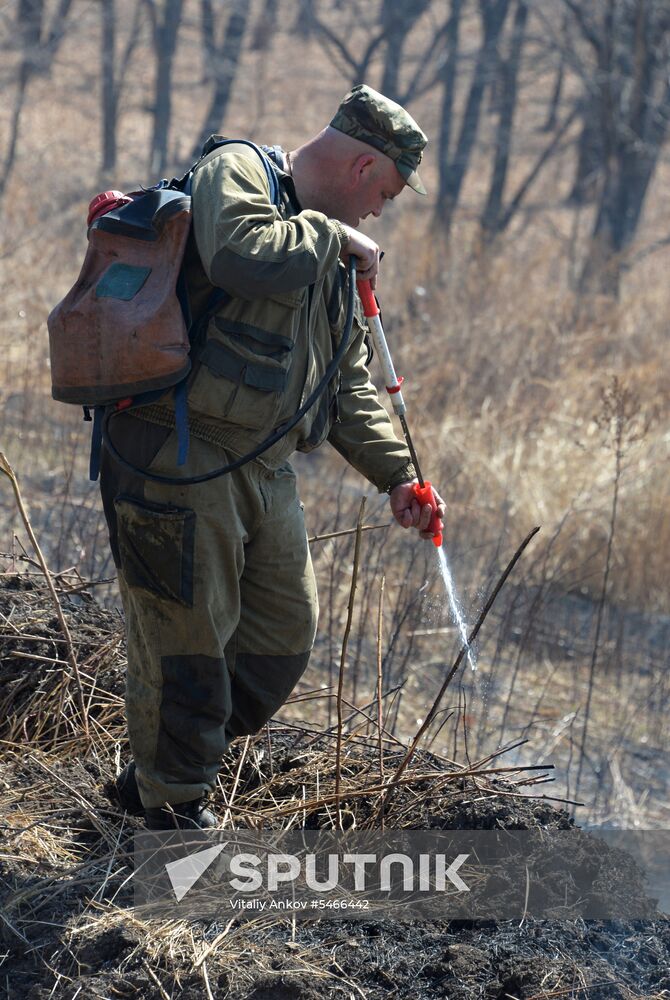 Wildfire suppression exercise in Primorye Territory