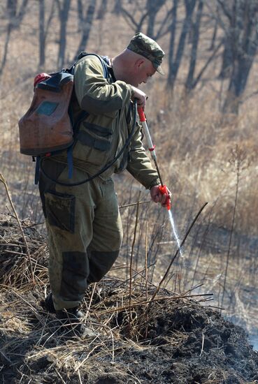 Wildfire suppression exercise in Primorye Territory