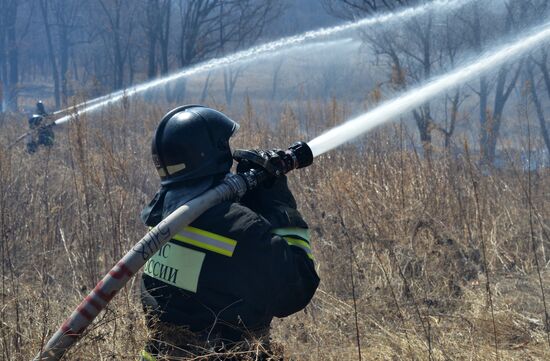 Wildfire suppression exercise in Primorye Territory