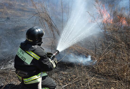 Wildfire suppression exercise in Primorye Territory