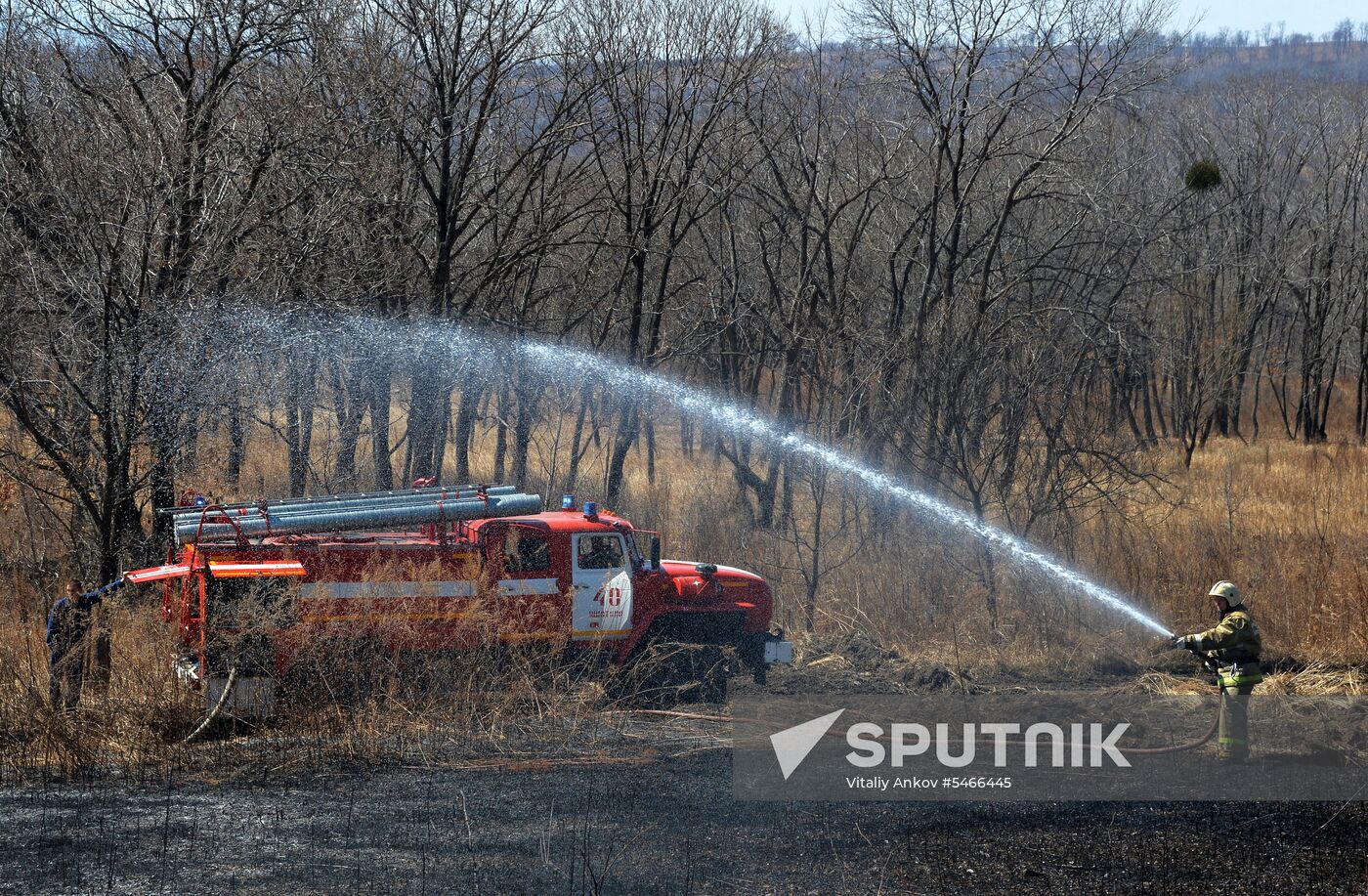 Wildfire suppression exercise in Primorye Territory
