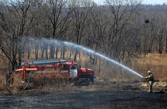 Wildfire suppression exercise in Primorye Territory