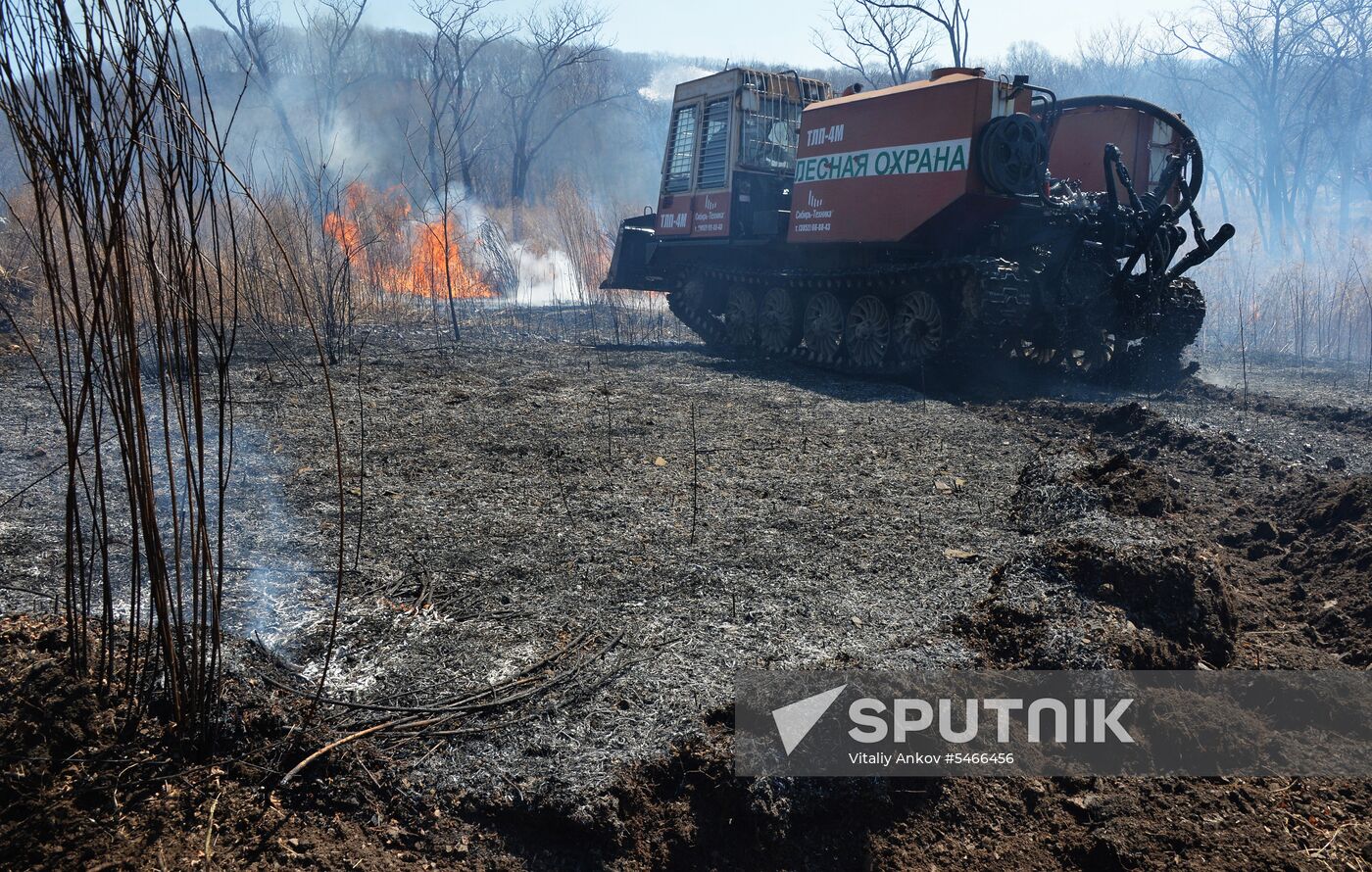 Wildfire suppression exercise in Primorye Territory