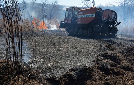 Wildfire suppression exercise in Primorye Territory