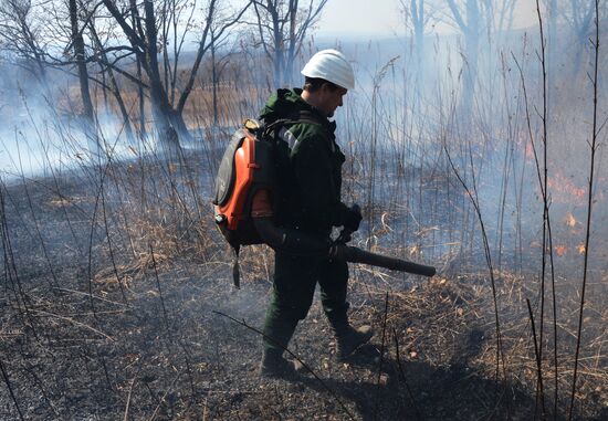 Wildfire suppression exercise in Primorye Territory