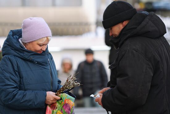 Willow sold in Russian cities