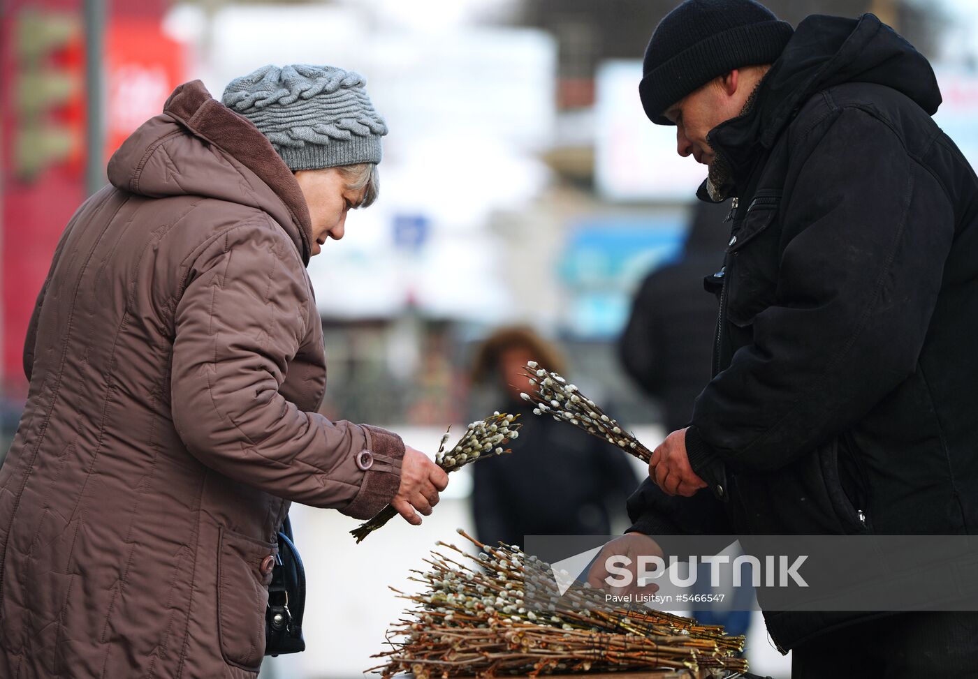 Willow sold in Russian cities