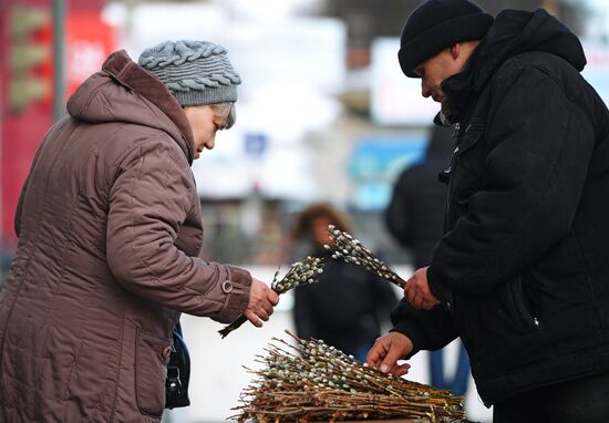 Willow sold in Russian cities