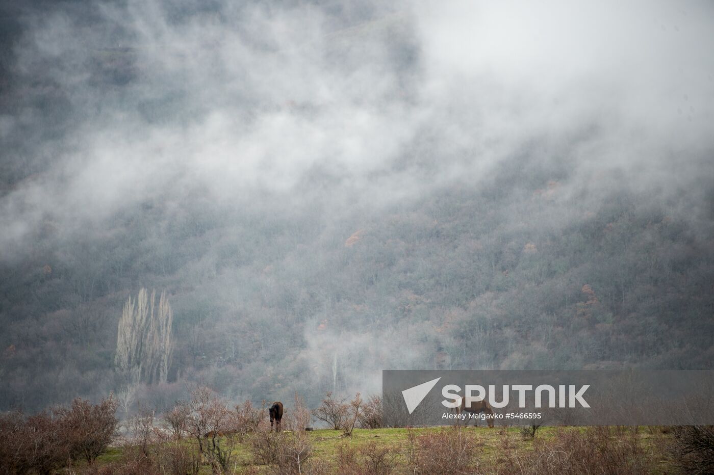Springtime in Crimea