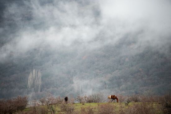 Springtime in Crimea