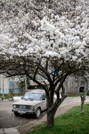 Springtime in Crimea