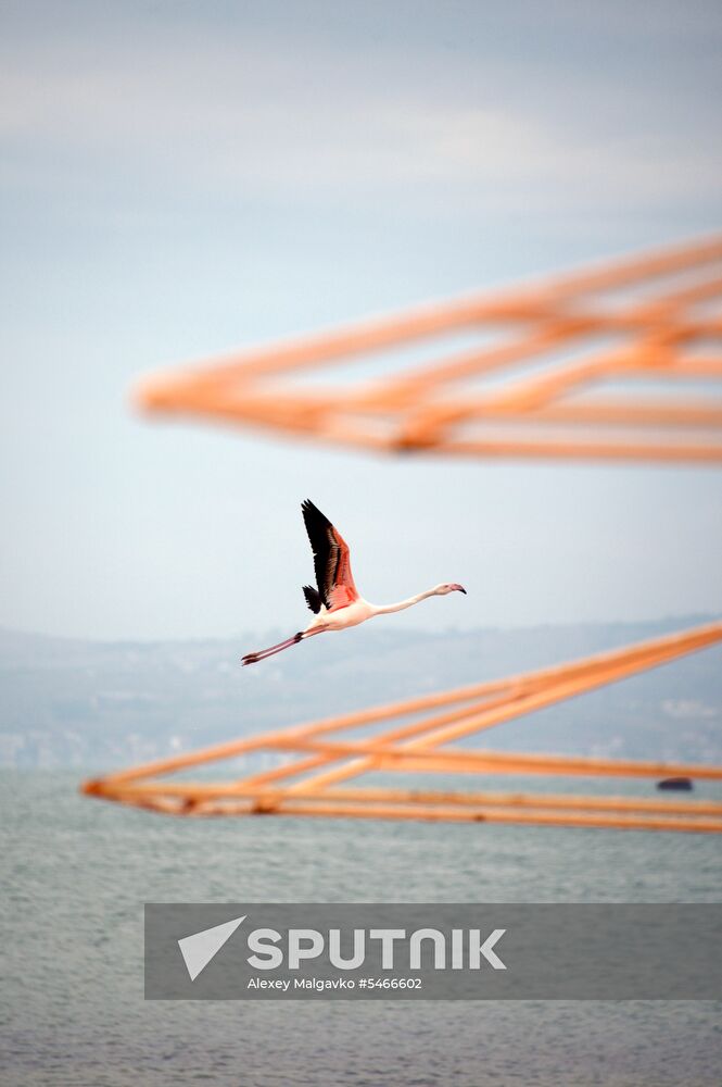 Springtime in Crimea