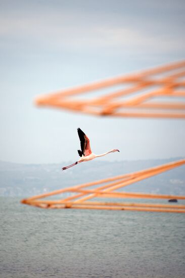 Springtime in Crimea