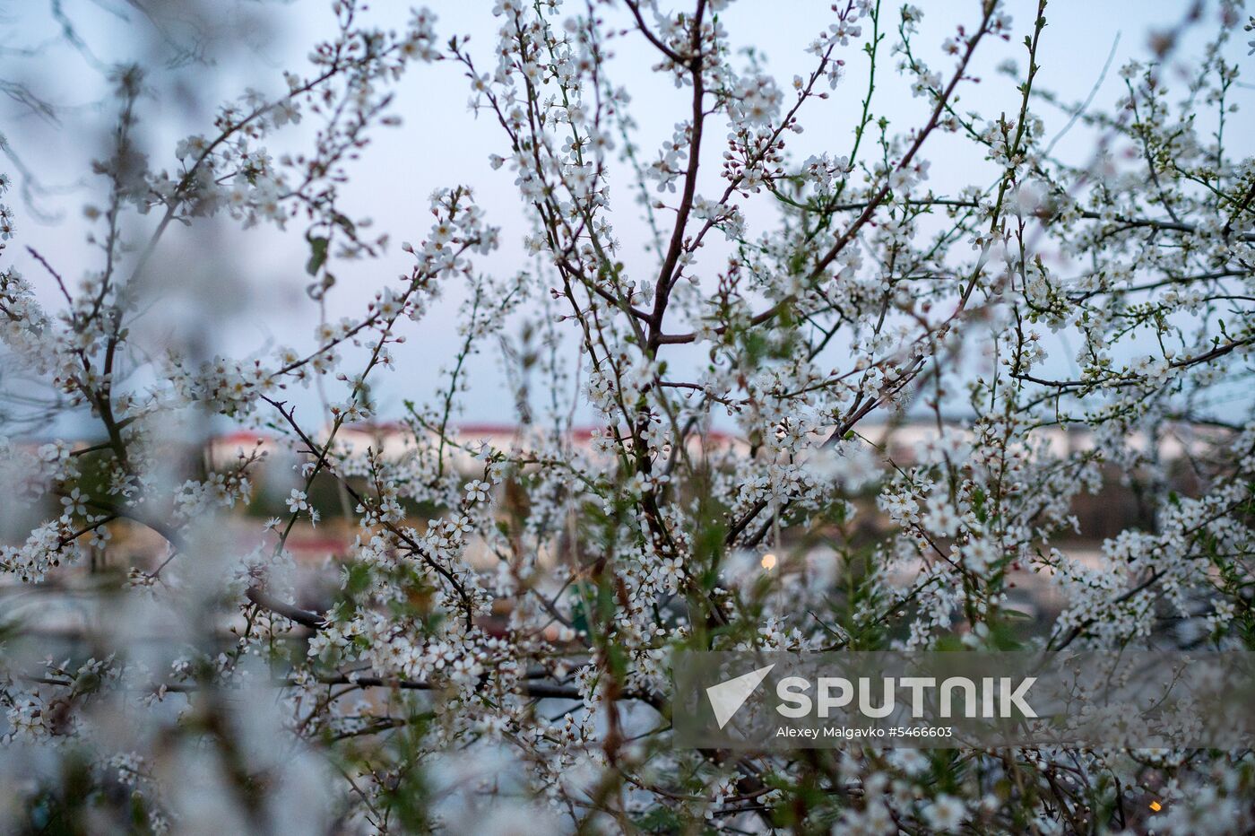 Springtime in Crimea