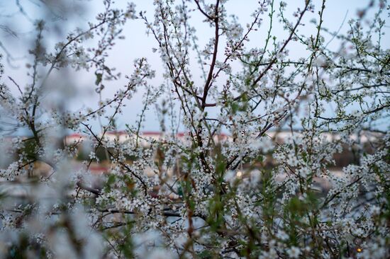 Springtime in Crimea