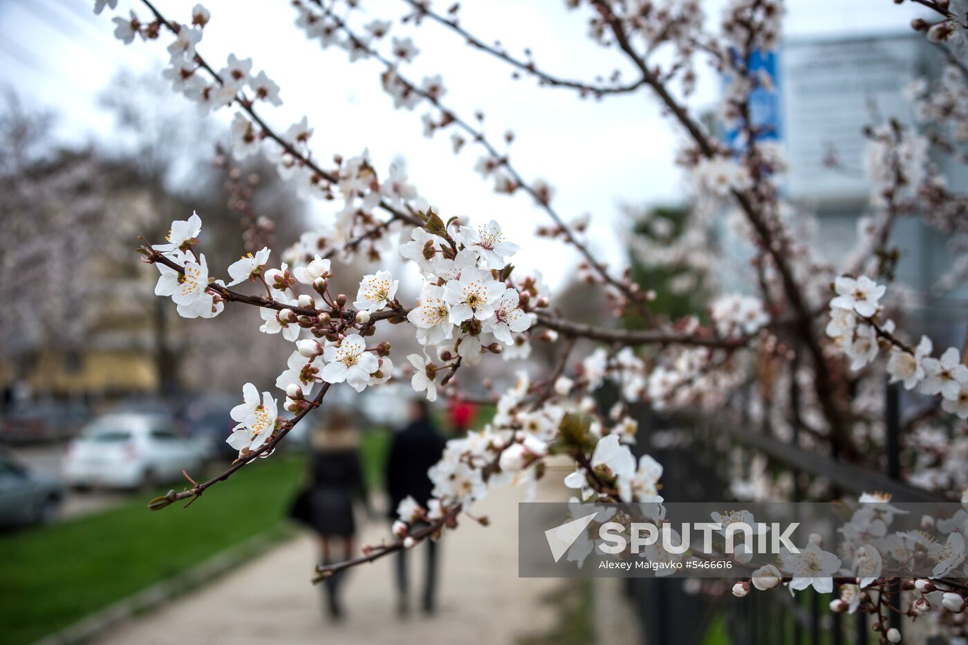 Springtime in Crimea