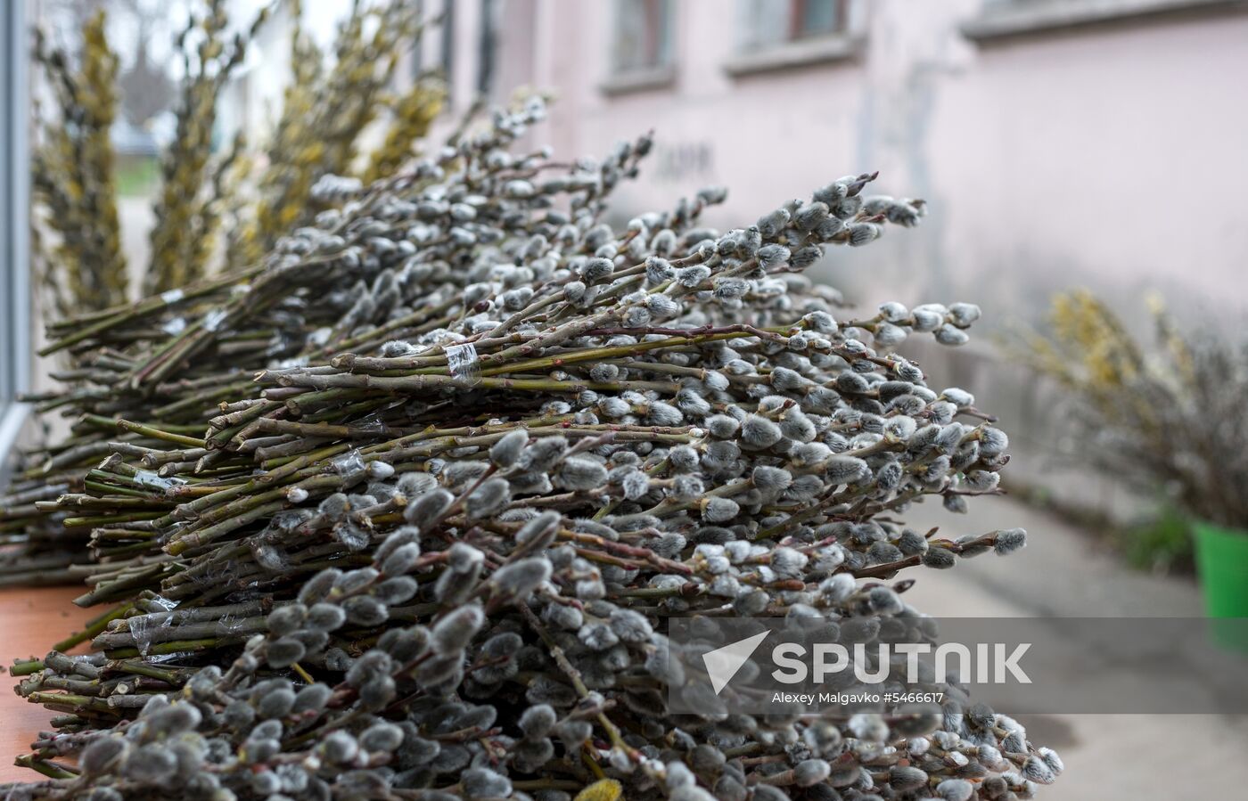 Springtime in Crimea