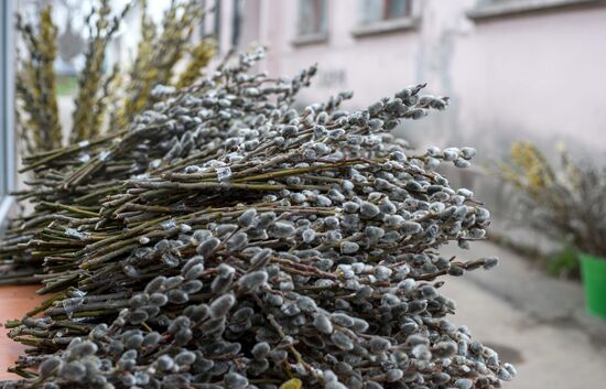 Springtime in Crimea