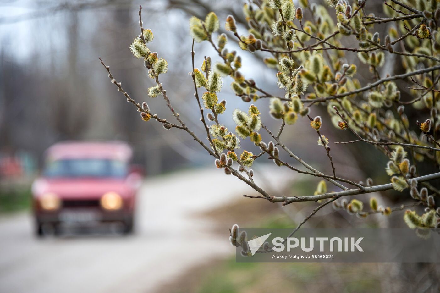 Springtime in Crimea