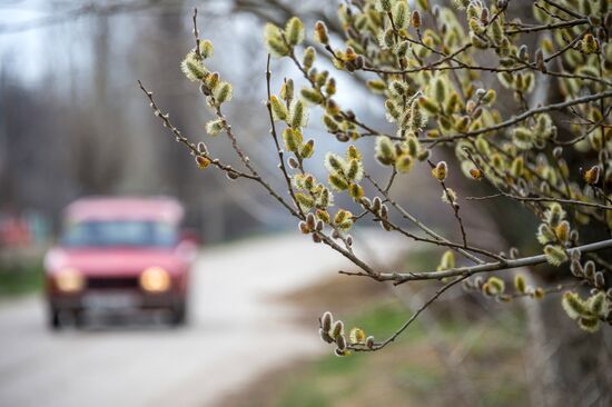Springtime in Crimea