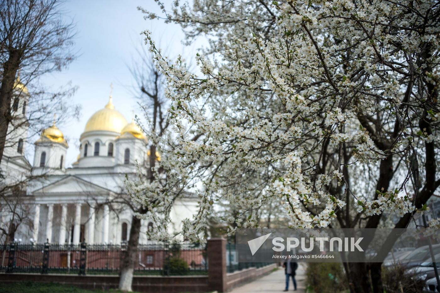 Springtime in Crimea