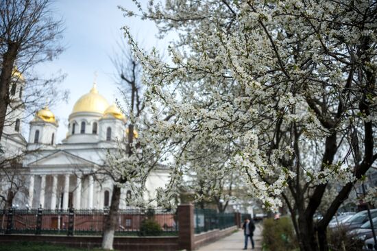 Springtime in Crimea