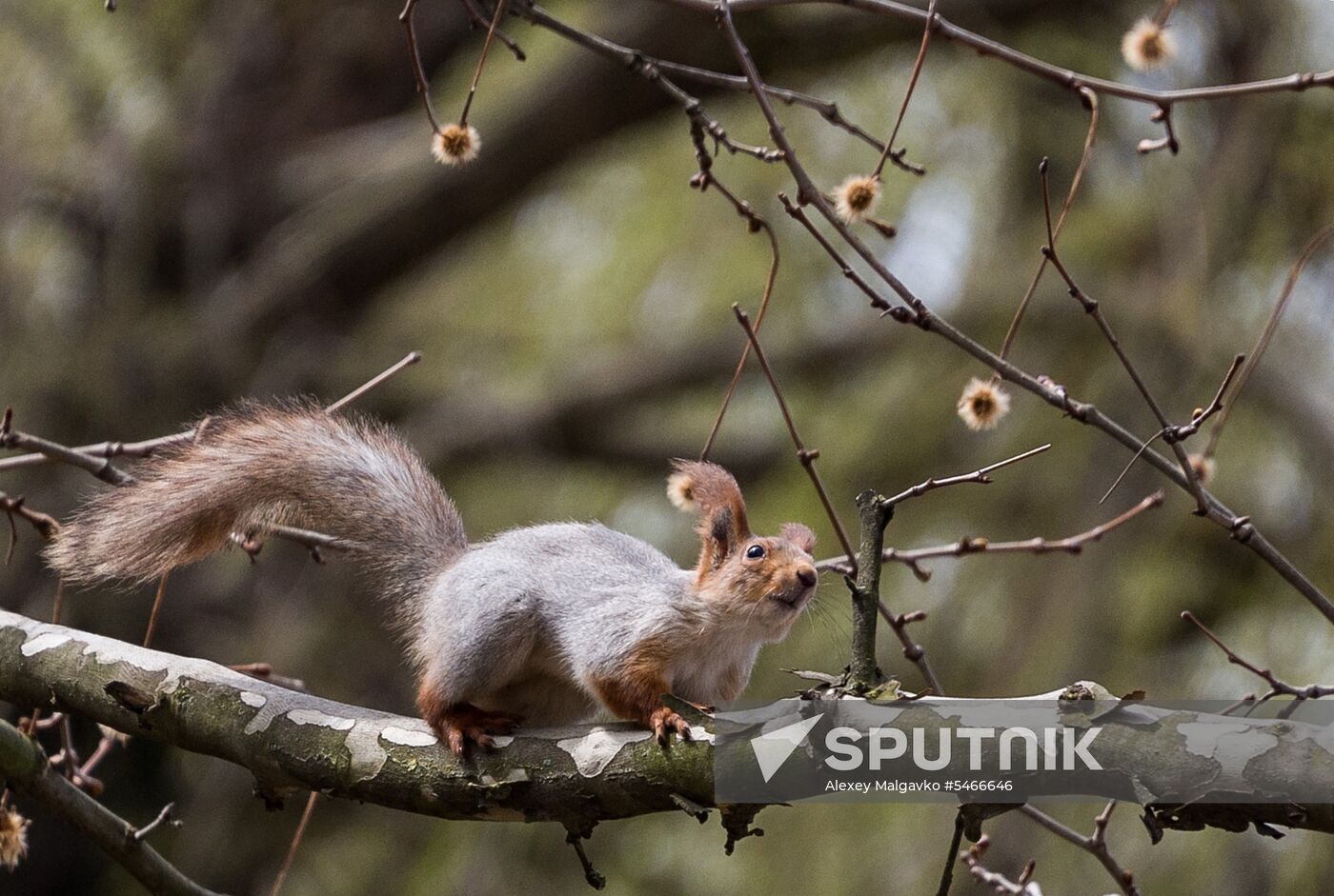 Springtime in Crimea